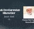 Hak Dostlarından  Hikmetler  Şeyh Sâdî- 5